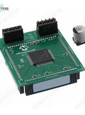 MA330025-1[开发板MODULE PLUG-IN DSPIC33E 100TQFP】