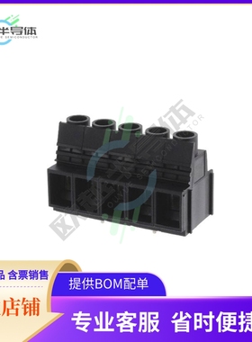 2013880000【LUP 10.16/05/90V 5.0SN BK BX】