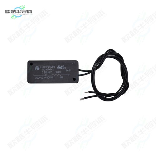 RG1676-2[滤波器FILTER RC 100OHM/0.5UF TH]