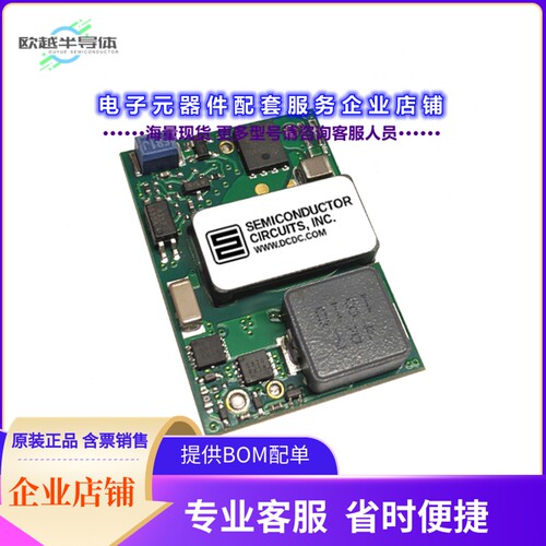 CPT8B48P[电源模块DC DC CONVERTER 12V 100W]