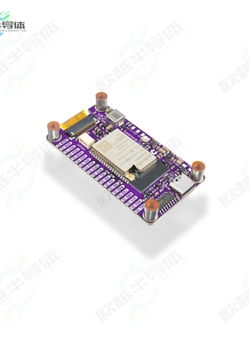 333166[开发板EVAL BOARD FOR ESP32】