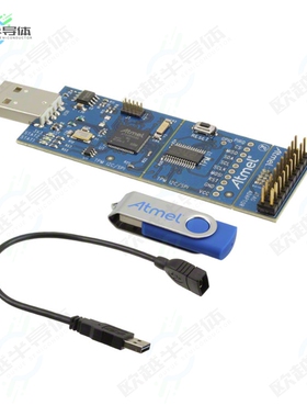 AT97SC3205P-SDK2[开发板EVAL BOARD FOR AT97SC3205】
