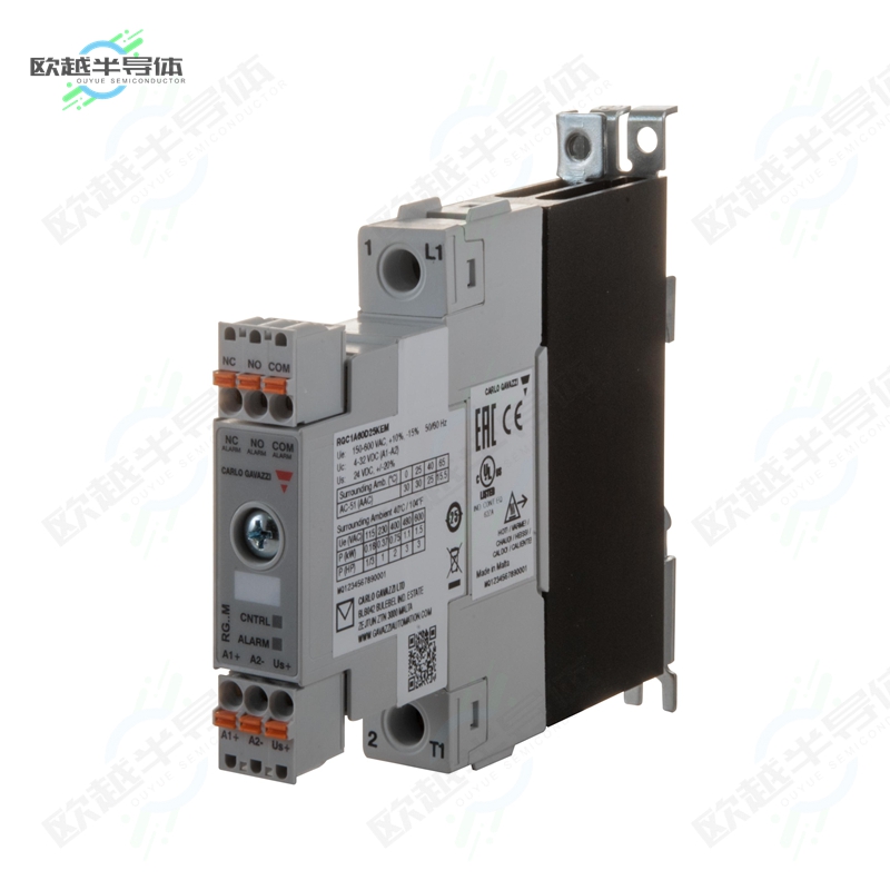 RGC1A60D31KEM[继电器SSR 600V 30A 1200VP-E HI I2T MNT]