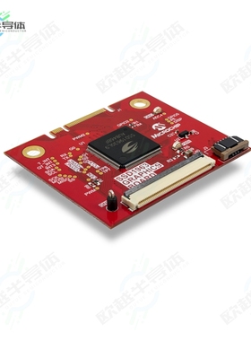 AC320214[开发板SSD1963 GRAPHICS BOARD】