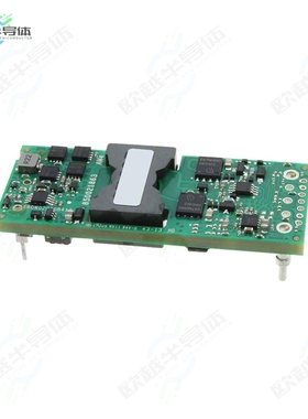 EBVW020A0B41Z[电源模块DC DC CONVERTER 12V 240W]