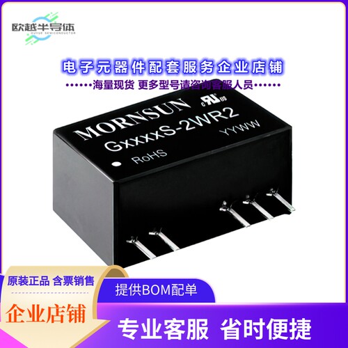 G0515S-2WR2[电源模块ISOLATED MODULE DC DC CONVERTER2]
