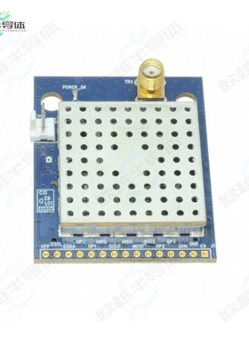 4463CPSQ27F169[开发板PICO BOARD 169MHZ FET】