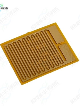 SEN0001[开发板ELECTRODE FLEXIBLE PCB, WITH 10X】