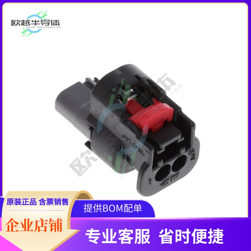 1-2203769-3【PLUG ASS'Y, 2P SEALED, KEY C, CP】