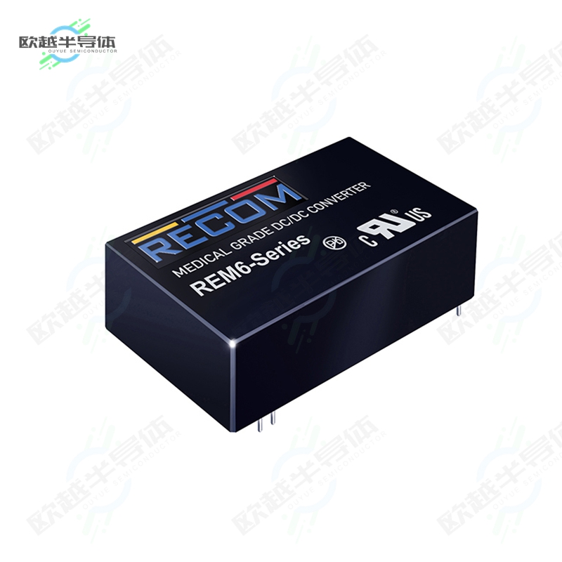 REM6-4805SW/C[电源模块DC DC CONVERTER 5V 6W]