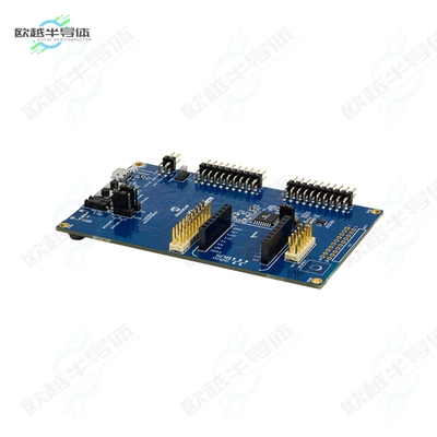 DM320205[开发板SAM L11 XPLAIND PRO ATSAML11E16A】