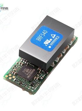BRFS40[电源模块DC DC CONVERTER 0.6-2V]