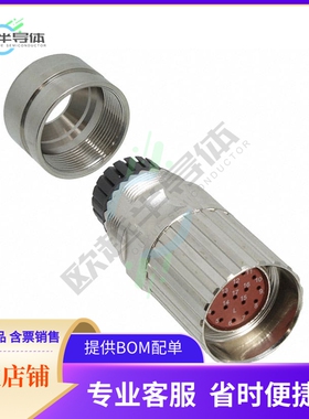1607323【CONN PLUG HSG MALE 17POS INLINE】