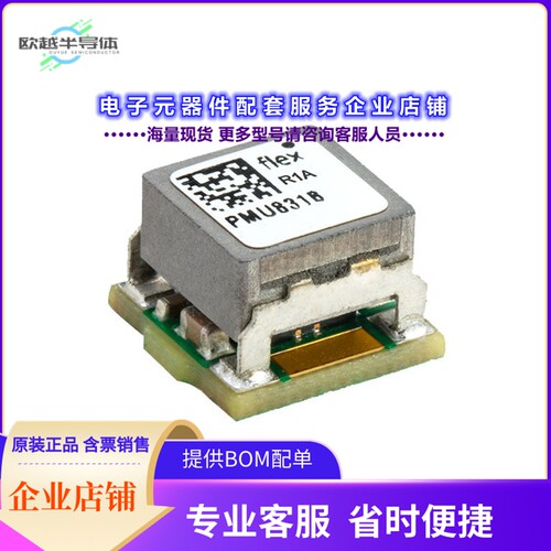 PMU8318[电源模块DC DC CONVERTER 0.6-5.5V 33W]
