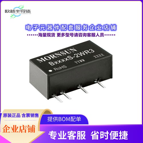 B0509S-2WR3[电源模块DC DC CONVERTER 9V 2W]