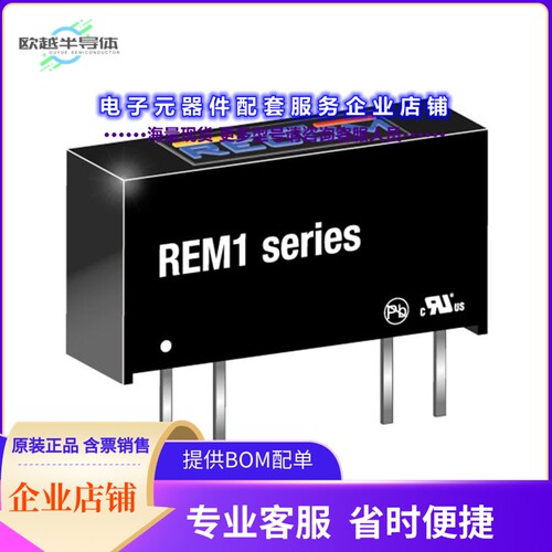 REM1-2405S[电源模块DC DC CONVERTER 5V 1W]