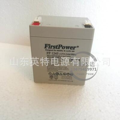 FirstPower(一电) 免维护铅酸蓄电池 FP1245(12V4.H)中