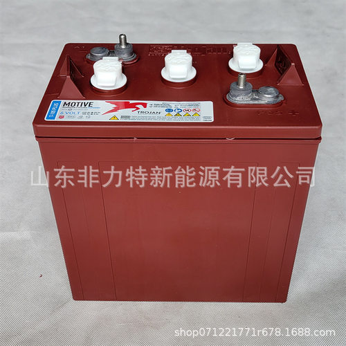 Trojan邱健蓄电池T-105Pi