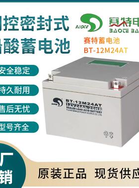 BT-12M24AC 12V24AH 通信电源 安防系统 信号系统