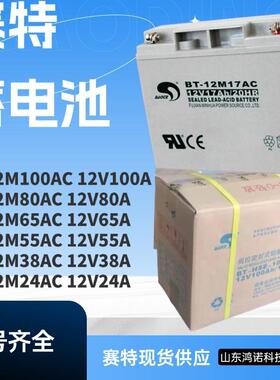BT-12M17AC(12V17AH/20HR)UPSEPS直流并免维护铅酸蓄电池