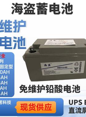 蓄电池HD12-65 阀控密封储能环保电瓶 12V65AHUPS不间断电源