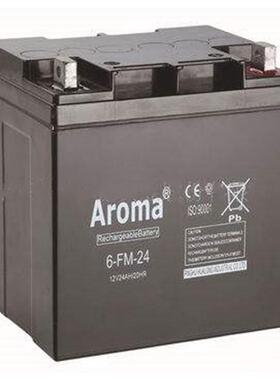 蓄电池6-FM-24 12V24AH/20HR绿色环保 节能