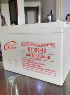 BT100-12 高容量长寿命匠心型 开关柜UPS不间断电