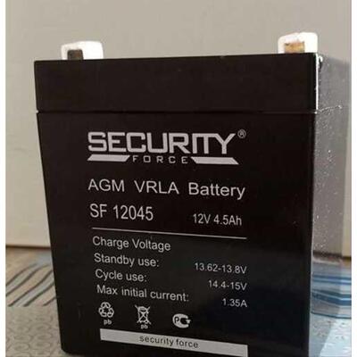 SECURITY-BATTERY蓄电池（电瓶）SF 12045/12V4.H