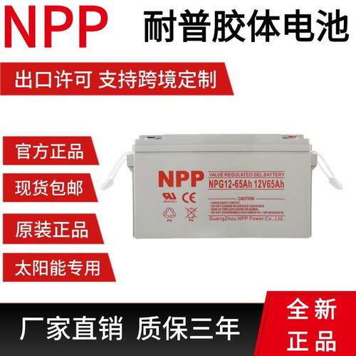 NPP耐普蓄电池NP12-120Ah NPG12-24 12v100AH55A 80A 65a150a200a