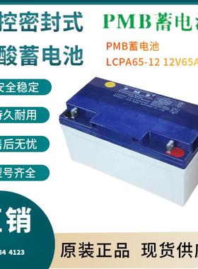 LCPA65-12 12V65AH 消防照明 产品报价 包含安装