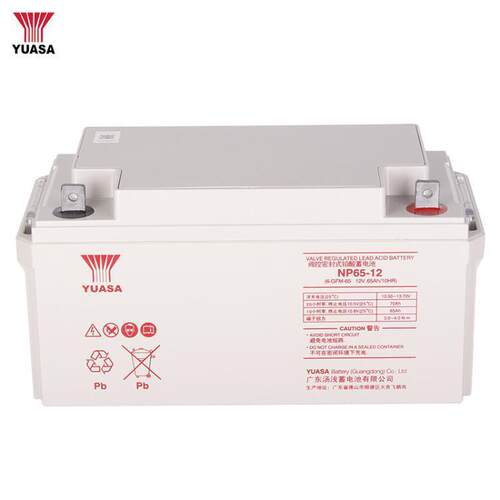 YUASA汤浅12V65AH蓄电池NP65-12太阳能专用机房UPS电源直流屏专用