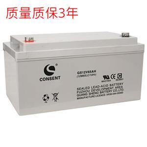 CONSENT蓄电池12V65aH 应急照明UPS电源 蓄电池GH12V6H