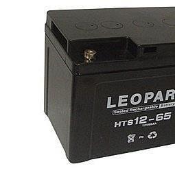 LEOPARDHTS12-65 12V65/AH电池UPS电源直流屏电瓶包
