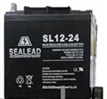 西力达SL12-24直流屏照明应急灯专用SEALEAD蓄电池12v24ah电瓶