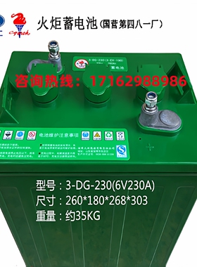 淄博火炬电池3-DG-230电瓶电动车6V260AH益高观光车巡逻车电瓶