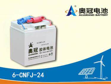 奥冠蓄电池6-CNFJ-24 12V24AH太阳能发电路灯照明专用胶体蓄电池