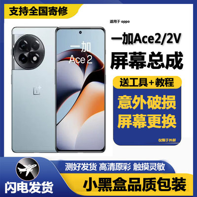 适用一加ACE2屏幕总成液