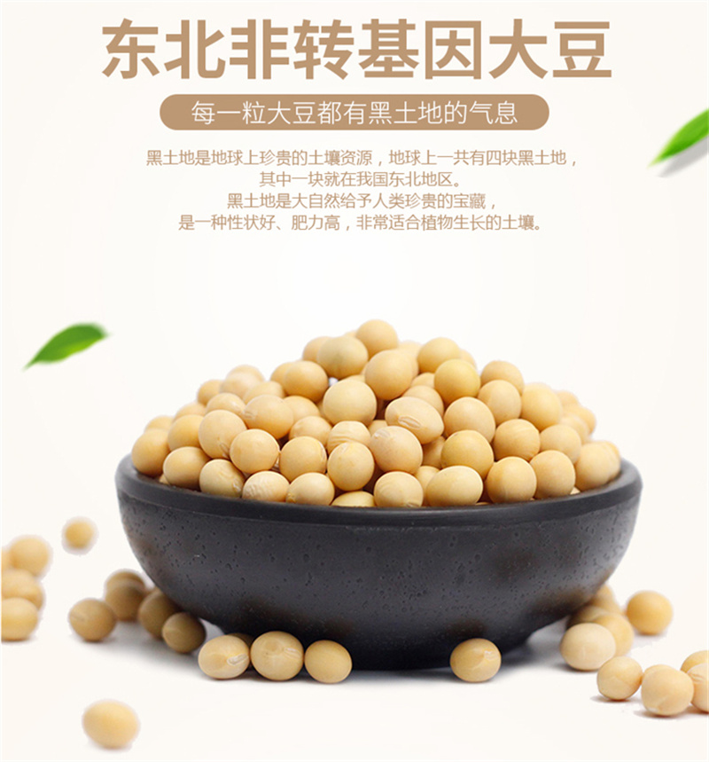 黑龙江特产 豆浆粉组合C（抹茶+原味无渣+麦枣+黑豆+五谷）5袋 咖啡/麦片/冲饮 豆浆 原图主图