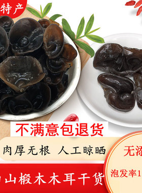 东北黑木耳干货特产级商用装小碗耳子凉拌肉厚无根野生秋木耳500g