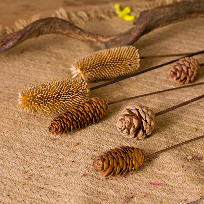 松果松塔拉毛果干花客厅假花落地装饰花艺插花仿真花干花真花田园 家居饰品 仿真花/假花 原图主图