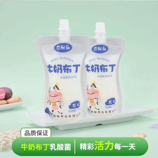 欣朵朵24袋整箱乳酸菌风味牛奶布丁果粒果冻校园早餐网红牛奶布丁