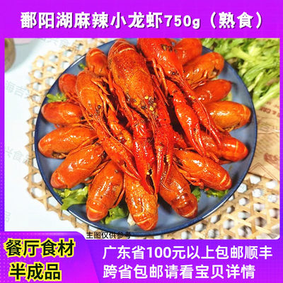 鄱阳湖麻辣蒜香小龙虾4-6中号调味熟食龙虾加热餐厅外卖商用700g