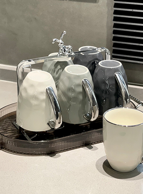 高颜值轻奢水杯家用喝水杯子客厅精致高档茶杯马克杯套装