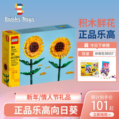 乐高情人节40524春节10280礼物