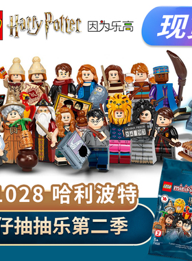 LEGO乐高积木哈利波特第二季邓布利人仔人偶抽抽乐拼插玩具71028