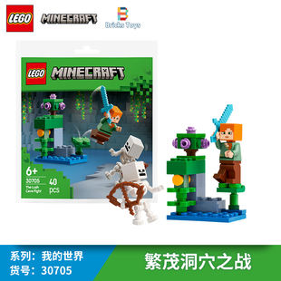 LEGO乐高积木我 世界系列30705繁茂洞穴之战拼砌吧益智玩具礼物