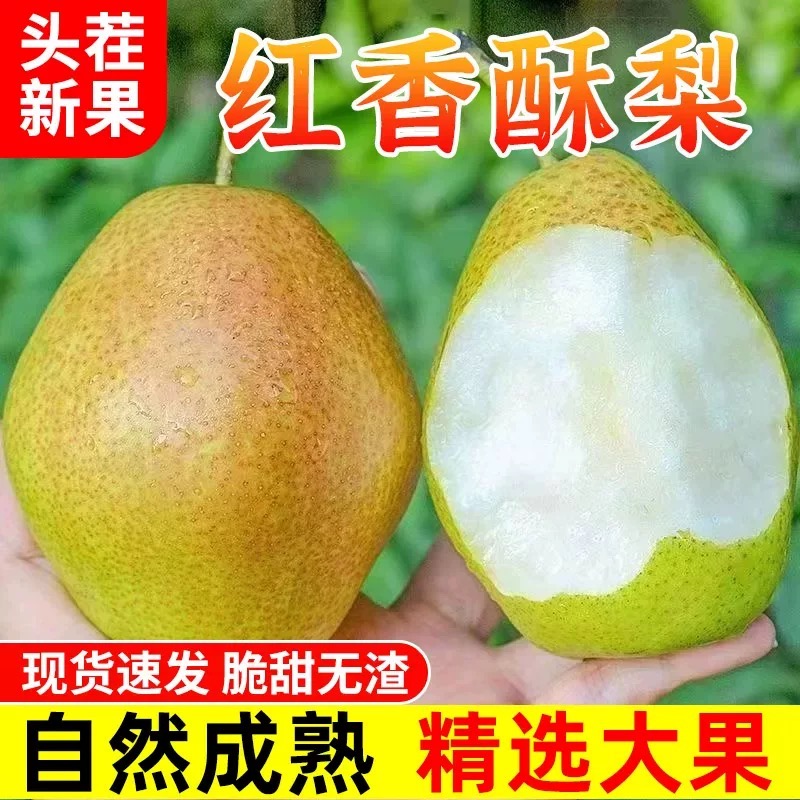 红香酥梨10斤香梨梨子新鲜水果