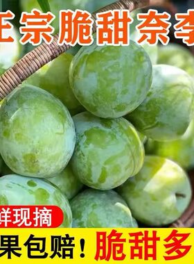 广西奈李5斤包邮孕妇桃形李子