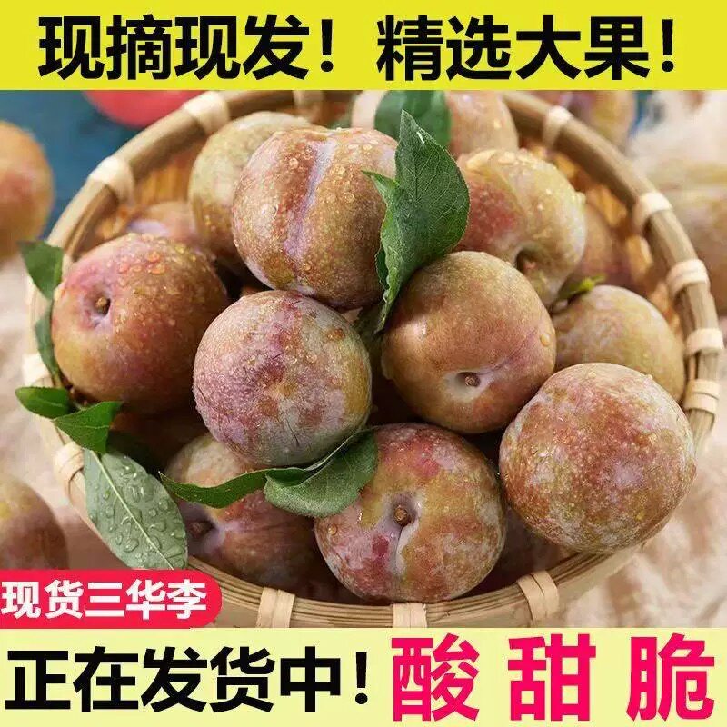 广西正宗红心三华李现摘新鲜李子水果当季樱桃孕妇信宜酸甜芙蓉李