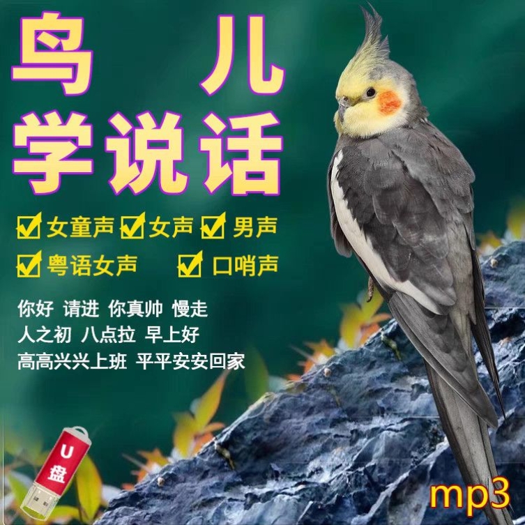 教鸟儿说话教鸟儿说话优盘清晰话语mp3音频收音机音箱随身听专用
